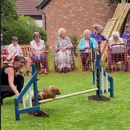 Crufts Day at St Dominics